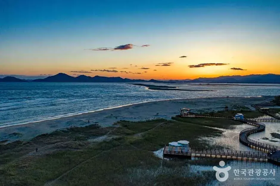 Dadaepo beach and wetland boardwalk at dusk