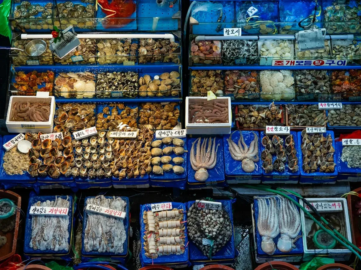 Shellfish at a Busan market