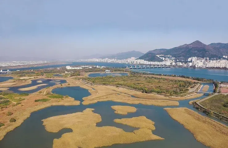 Aerial view of the Nakdong River estuary