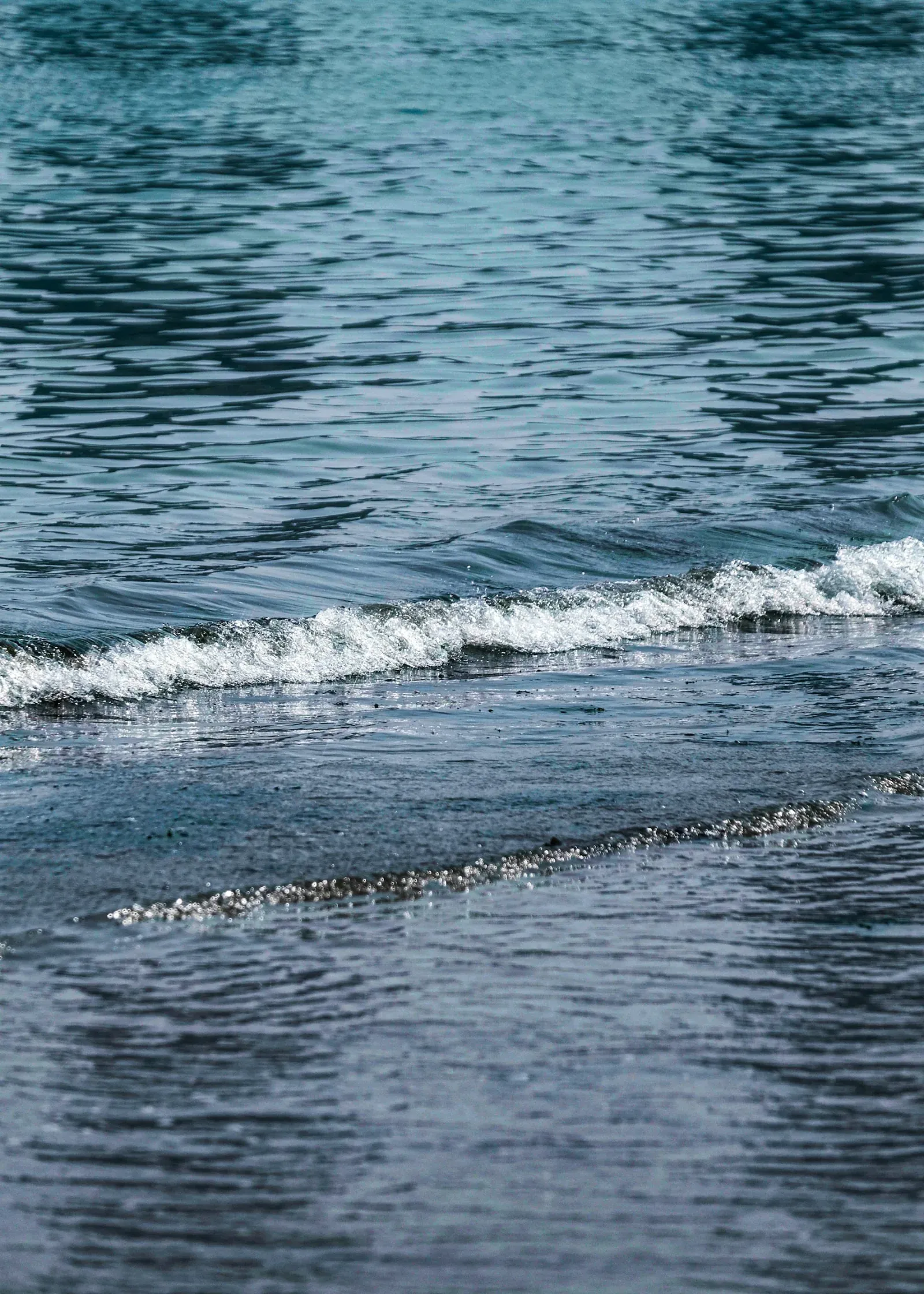A wave breaking on the Busan coast